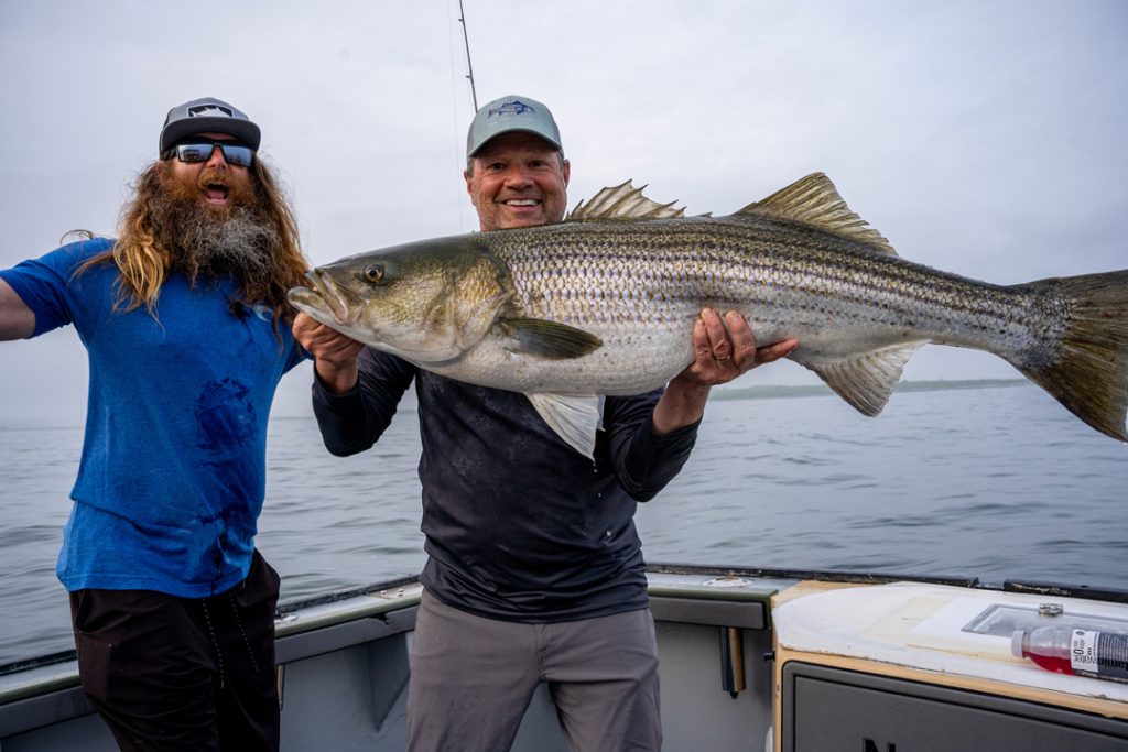 Big RI striped bass