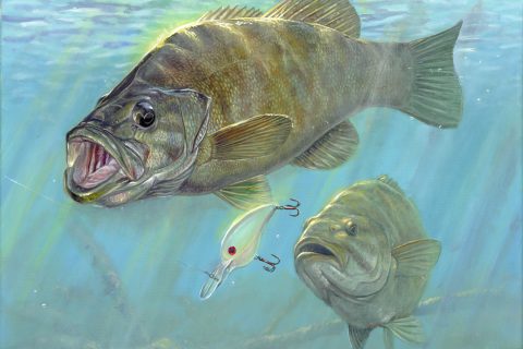 Angling Artist: Matt Doyle