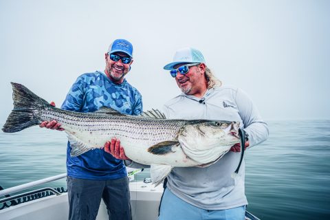 Try These Live-Bait Replacing Soft-Plastics for Stripers