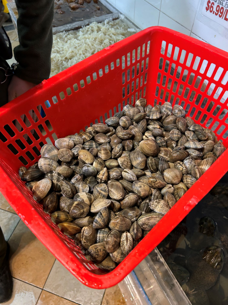 Newly-Minted Conservation Officers Seize Illegal Lobsters and Shellfish ...