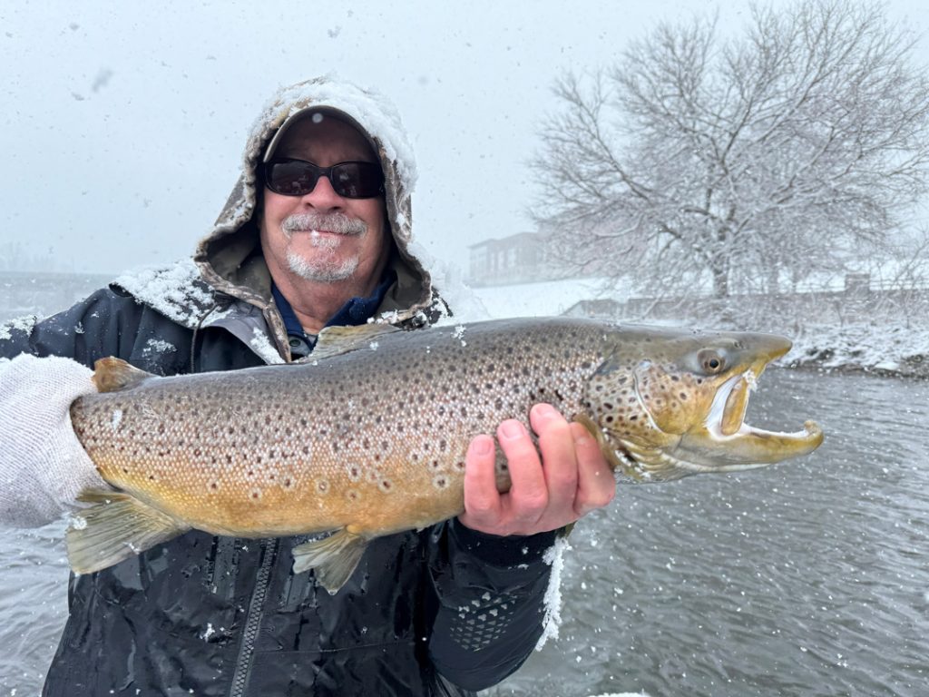 Chasin' Tail Adventures