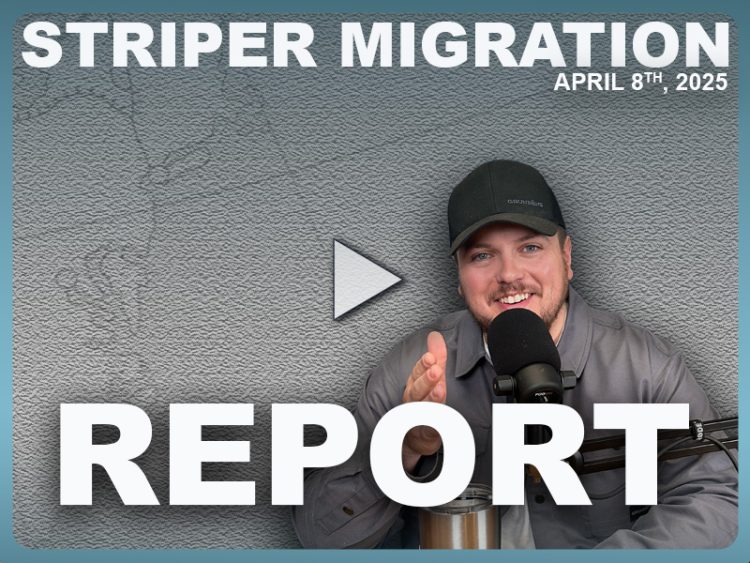 2025 Striper Migration Video Report Wk 2