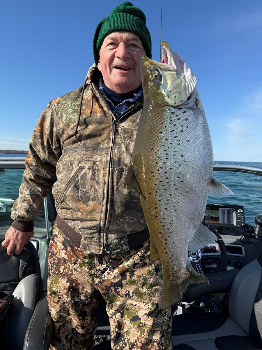 Lake Ontario brown trout