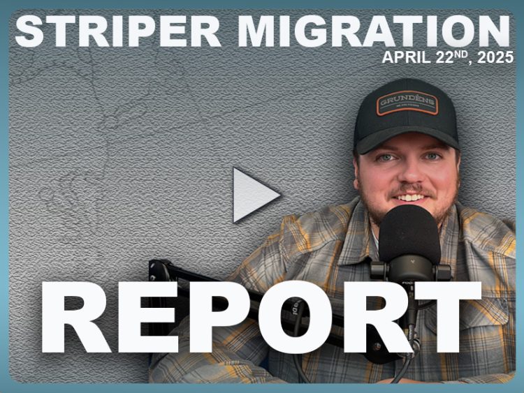 Striper Migration Report April 22, 2025