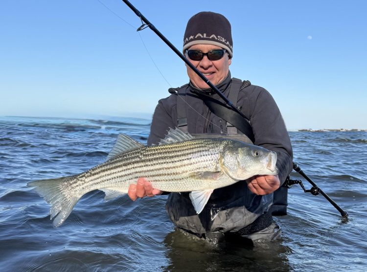 Vegas Vin with striped bass