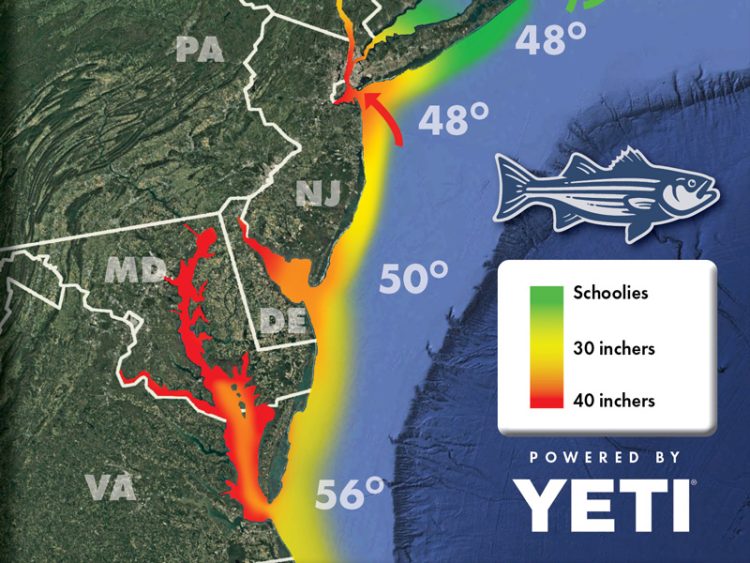 2025-04-18 Striper Migration Map thumbnail