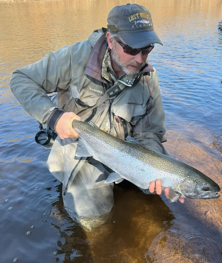 NYSLOG steelhead