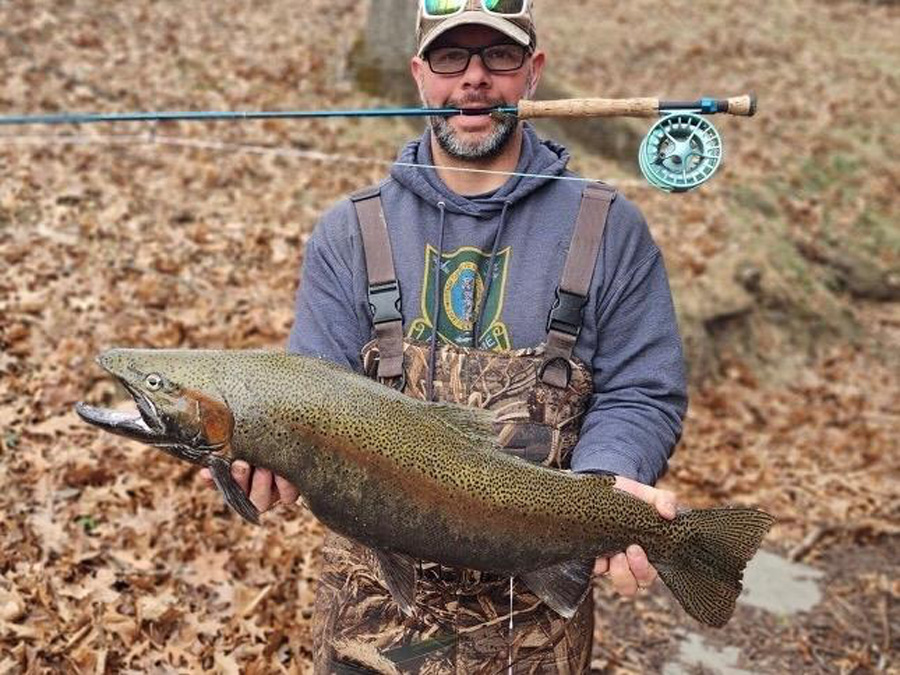 steelhead