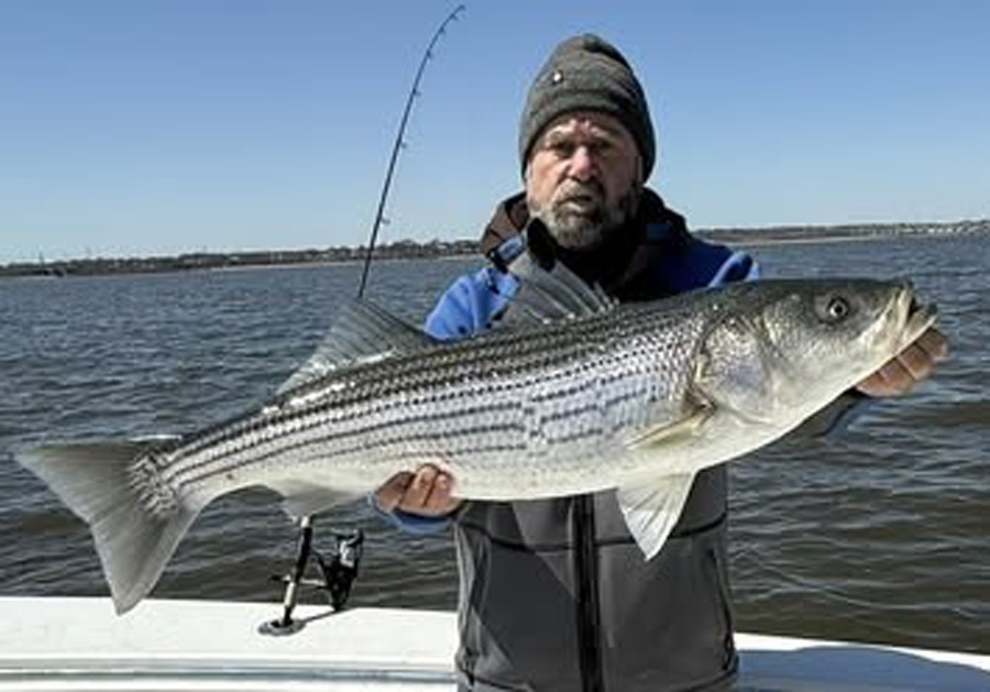 Fisher Price Sportfishing striped bass