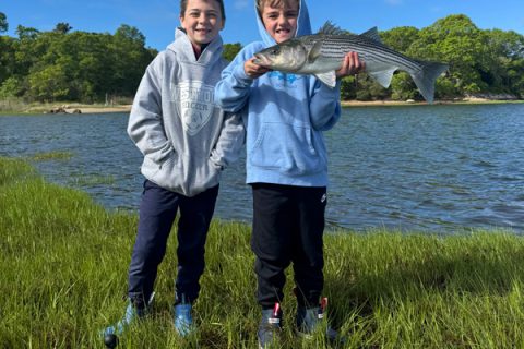 Striper Cup Week 4 Recap