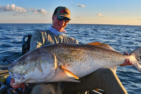 Tactics for Trophy Red Drum in Chesapeake Bay