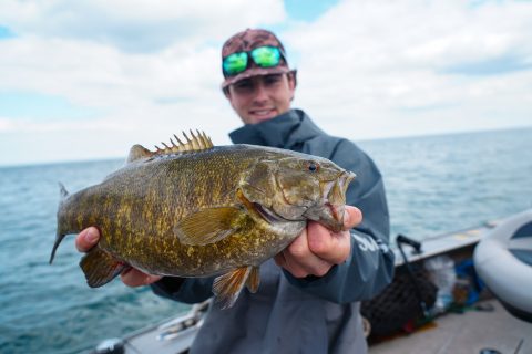 Lures for Trophy Smallmouth in Western New York
