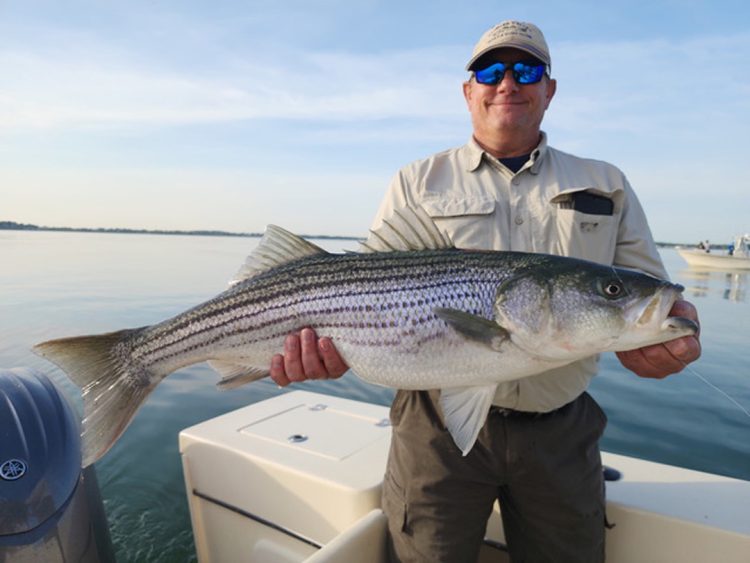 Get Tight Sportfishing striped bass