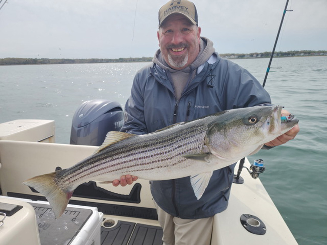 striped bass caught aboard Get Tight Sportfishing