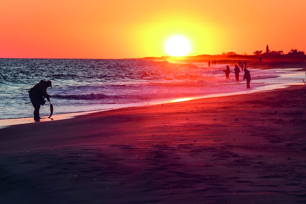 Essential Plugs for Stripers on Sand Beaches