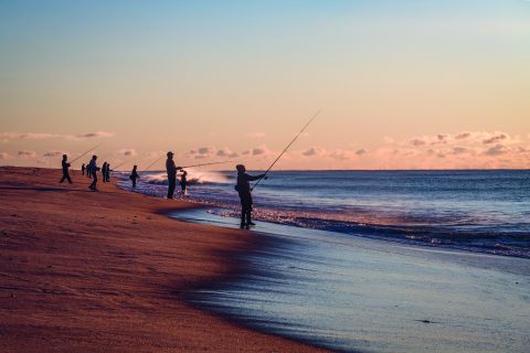 Essential Plugs for Stripers on Sand Beaches