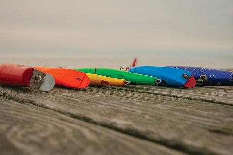 Does Color Really Matter for Striper Lures?