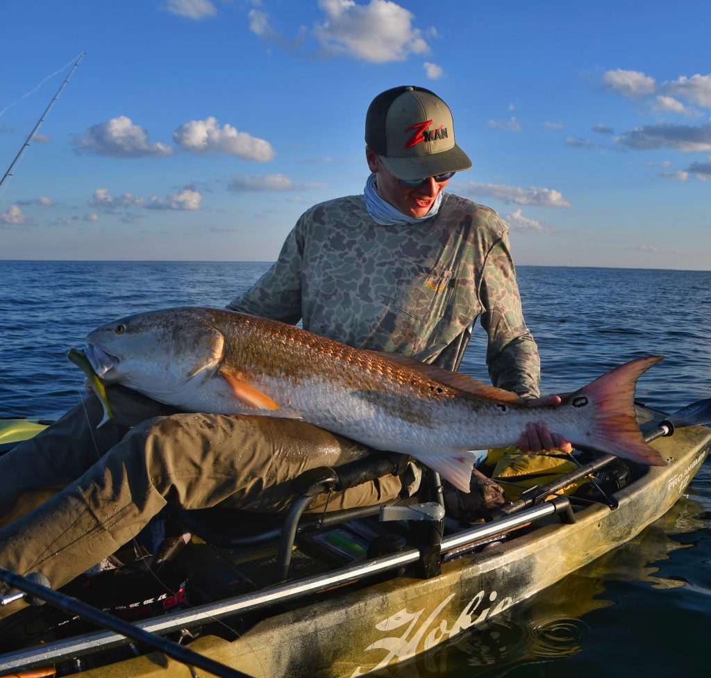 red drum in Chesapeake Bay