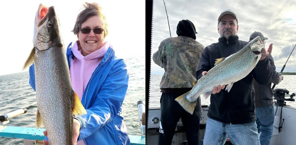 big Lake Ontario trout