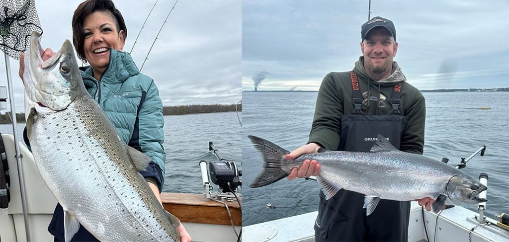 Lake Ontario brown trout and king salmon