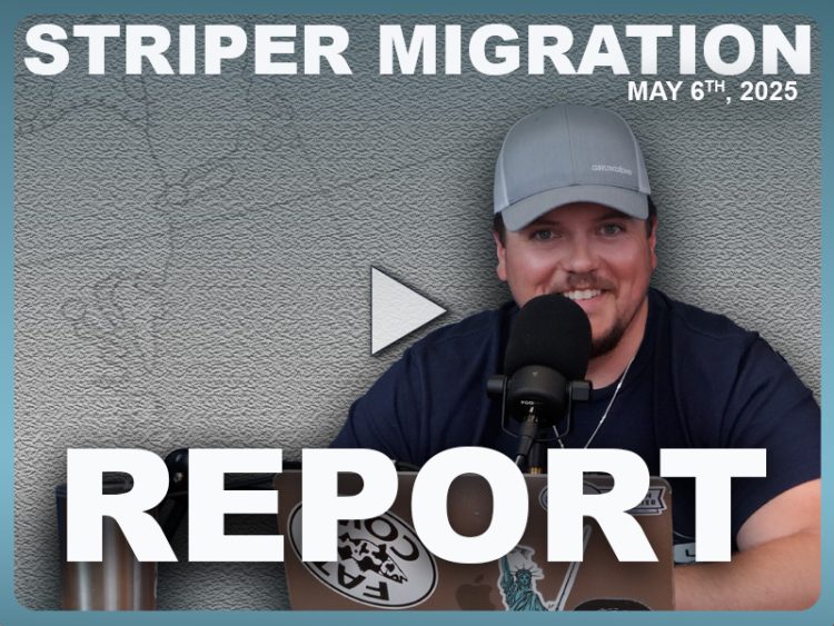 Striper Migration Report May 6, 2025
