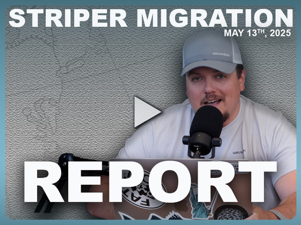 Striper Migration Report May 13, 2025