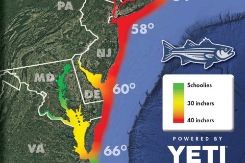 Striper Migration Map - May 23, 2025