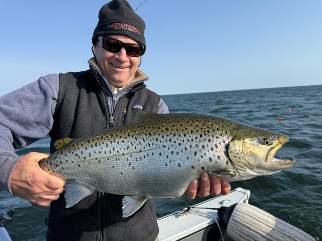 A big 12.5lb brown trout