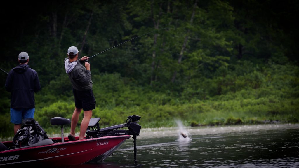 frog fishing for early summer bass
