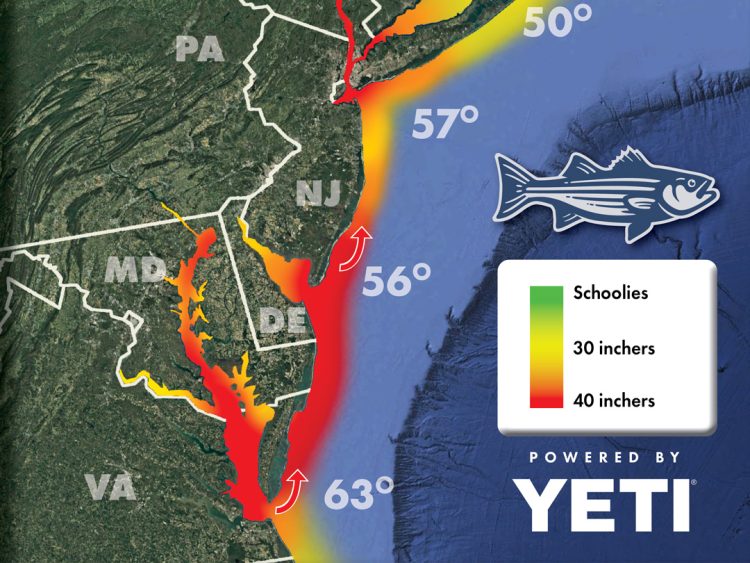 Striper Migration Map 2025-05-02