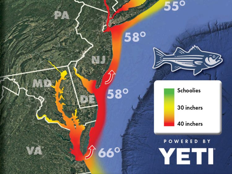 Striper Migration Map 2025-05-09