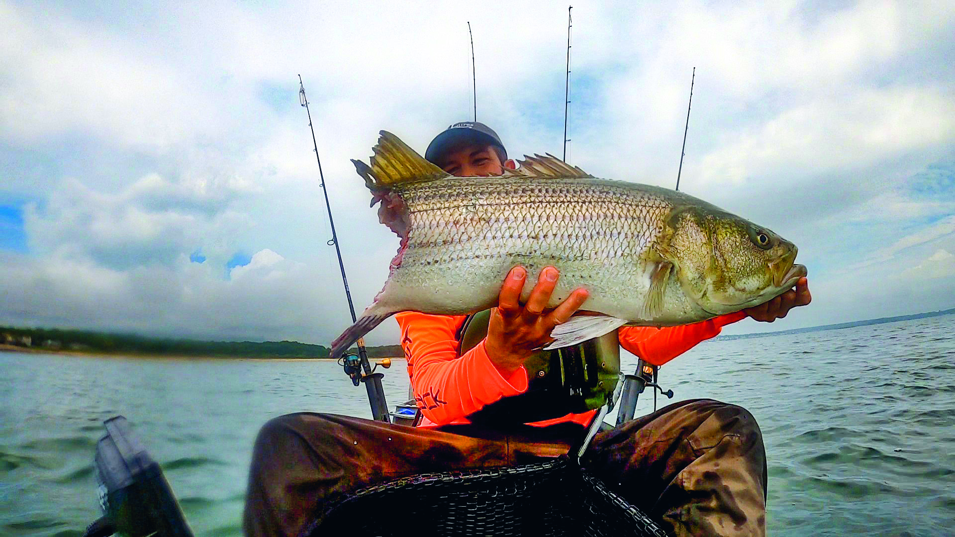 best sightseeing of netted fish in ct What's Biting in July in Connecticut?