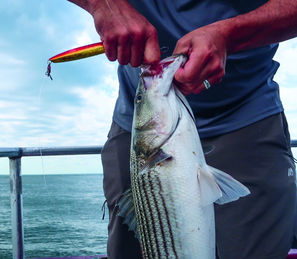 Slow-Pitch Jigging for Stripers