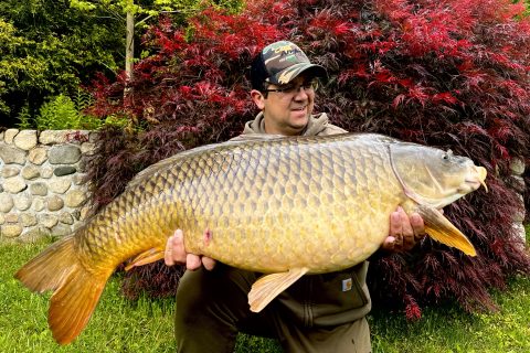 Angler Lands Largest Freshwater Fish Ever Recorded in Connecticut