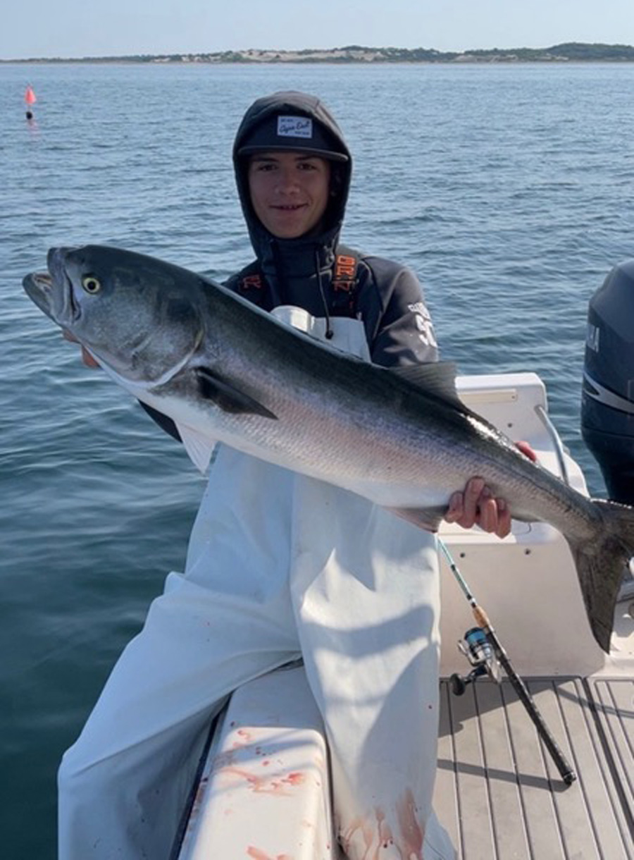 Legit Fish Charters bluefish