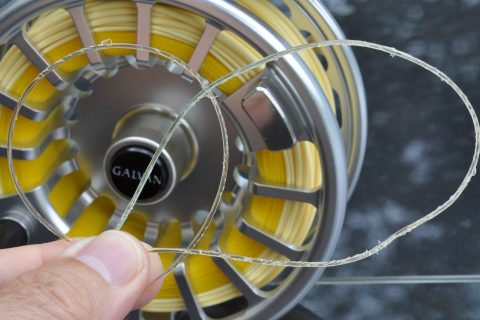 Is Fluorocarbon Leader Really Tougher than Monofilament?