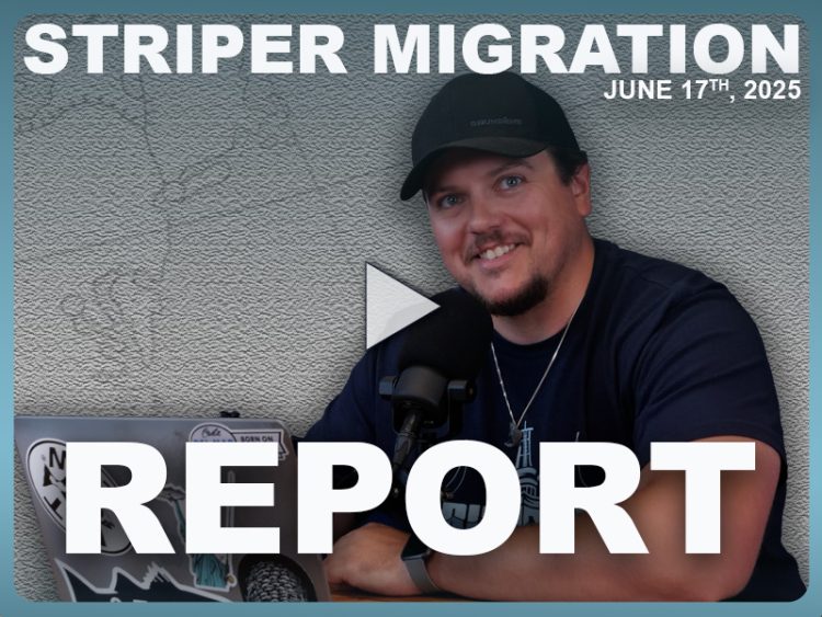 Striper Migration Report June 17, 2025