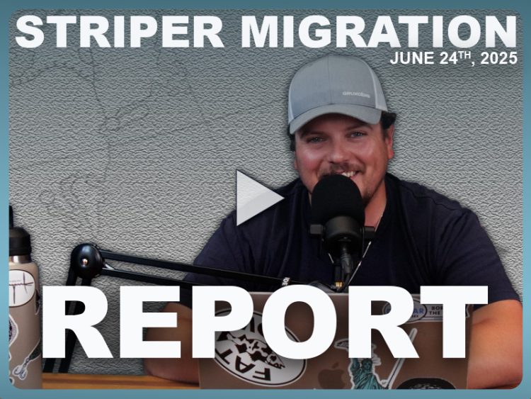 Striper Migration Report 2025 week 13