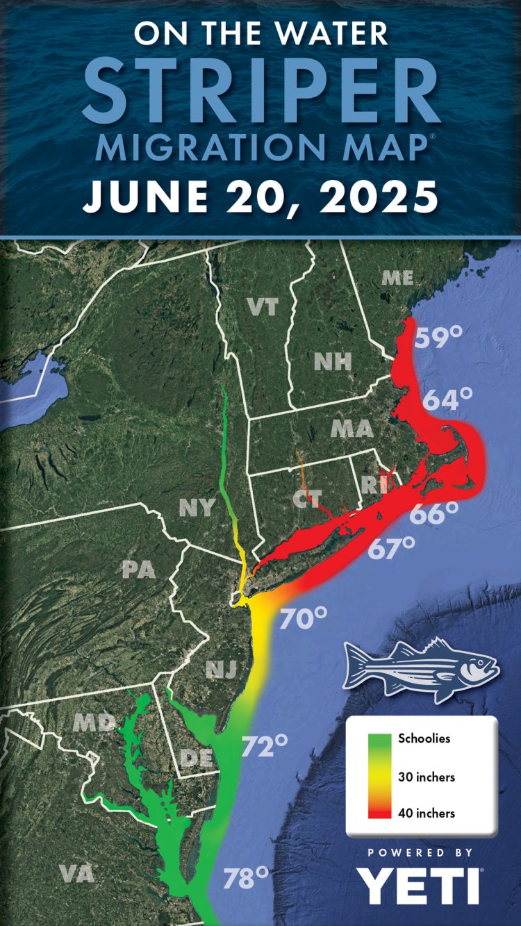 Striper Migration Map June 20, 2025