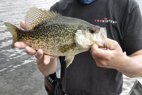 What&rsquo;s Biting in July in New Hampshire and Vermont?