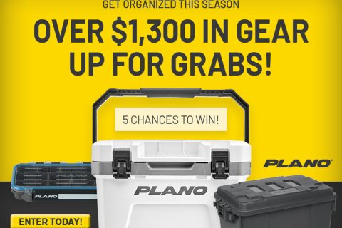 Plano 2025 Giveaway