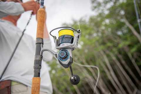 The NEW Quantum Cabo