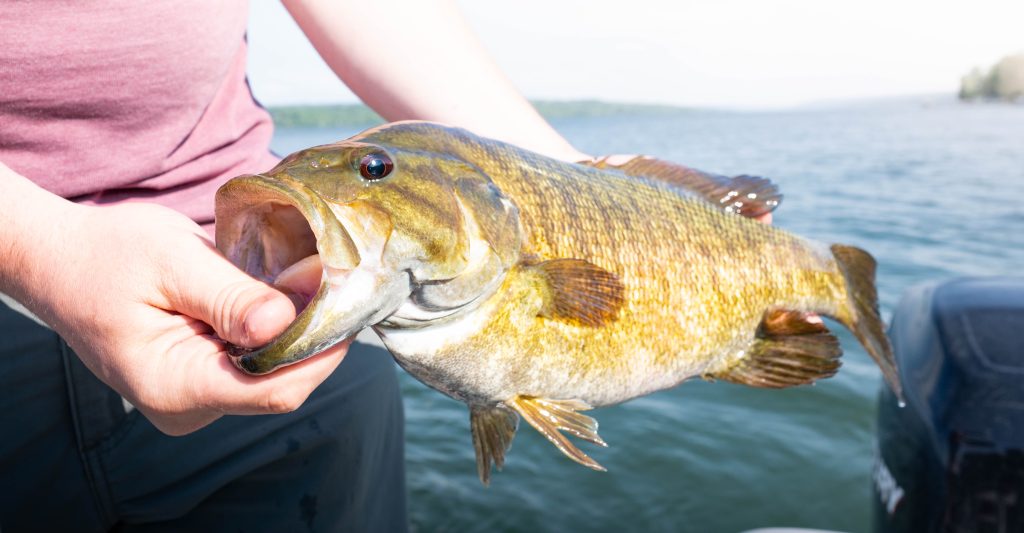 summertime smallmouth