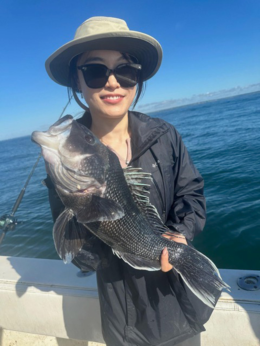 Little Sister black sea bass