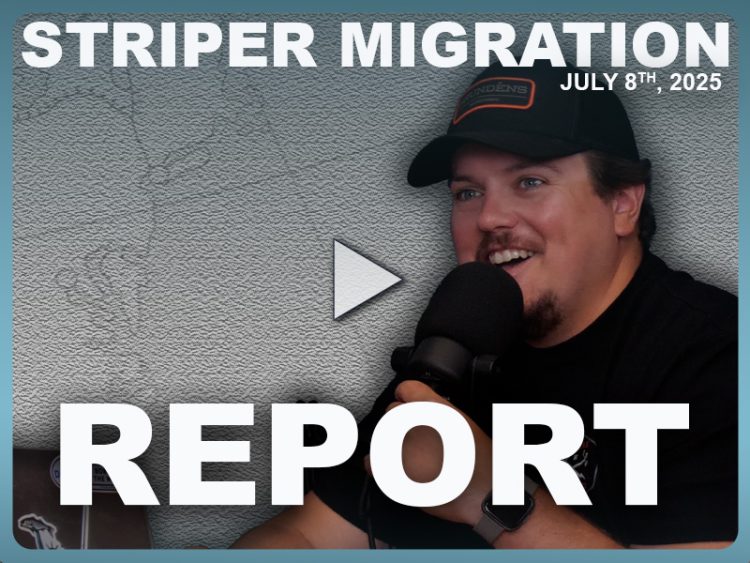 Striper Migration Report &ndash; July 8, 2025