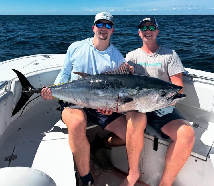 fishtagram287 bluefin