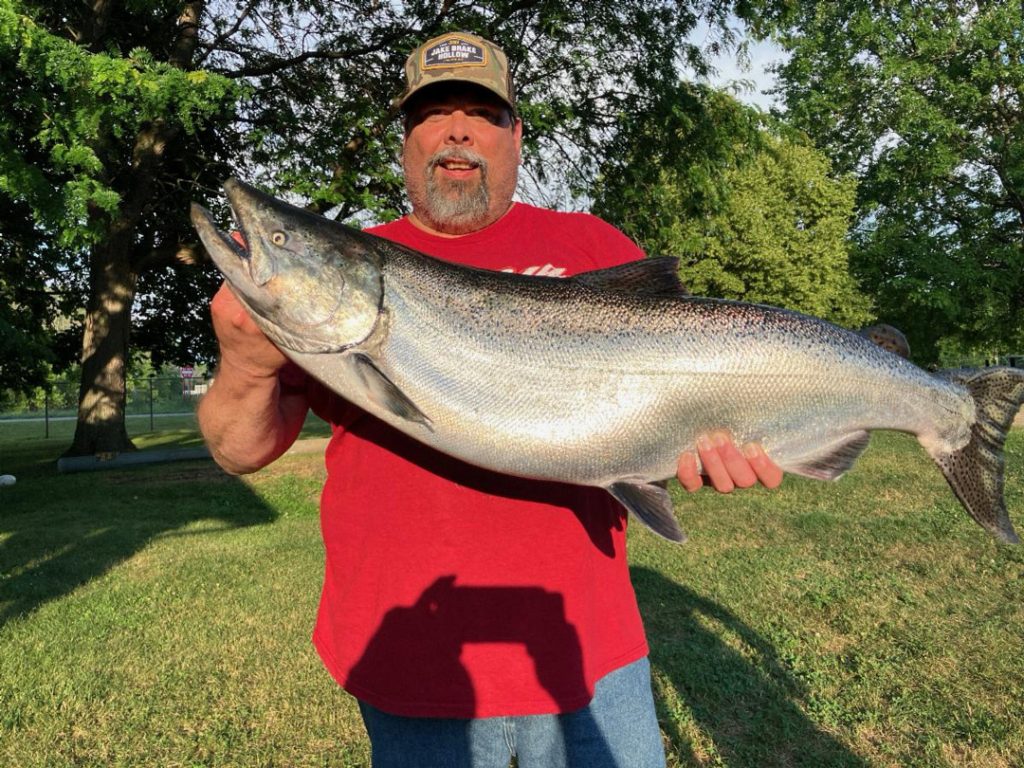 Tim M. with a stud Oak Orchard King!