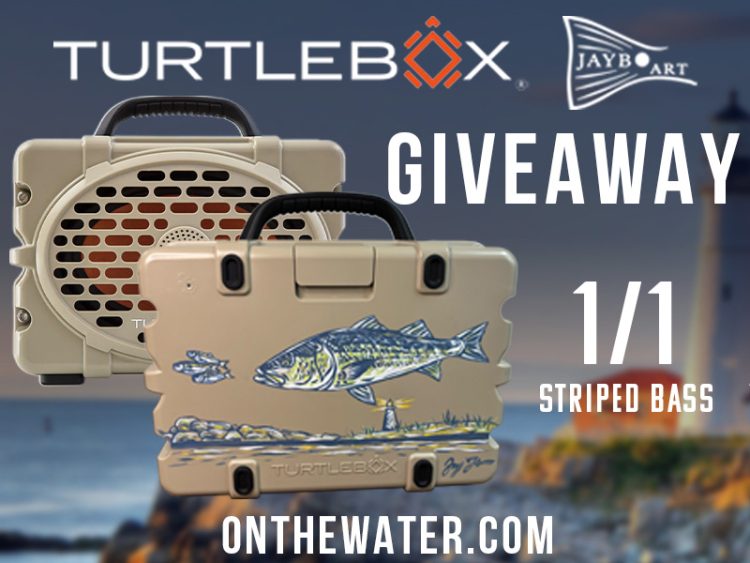 TurtleBox Gen 3 customized by JayBo Art