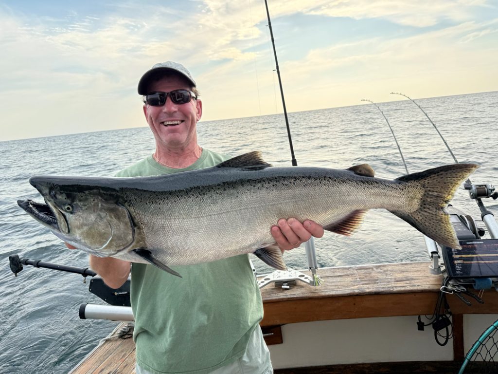 Coldsteel king salmon