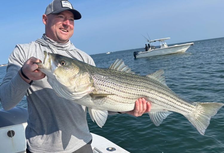 Legit Fish striped bass